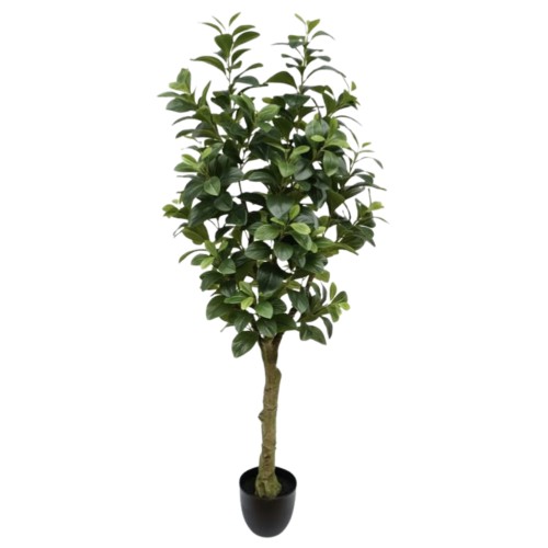 Realistic 150cm Peperomia Tree – Outdoor & Indoor Artificial Plant in Plastic Pot