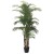 Artificial Potted Coconut Palm Trees, 180cm Height, for Decoration