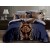 King Size Gold Floral Comforter Set - Maroon & Blue, 6pcs with Tufted Pillowcases