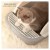 Large Cat Litter Box with Scoop – Spacious, Durable, and Easy to Clean