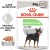 Royal Canin CCN Digestive Care Wet Food Pouches for Sensitive Stomachs, Box of 12x85g