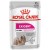 Royal Canin CCN Exigent Wet Food Pouches 12x85g – Canine Care Nutrition for Sensitive Stomachs