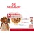 Royal Canin SHN Medium Adult Wet Food Pouches Box of 10x140g - Sensitive Stomach Care for Medium Breeds