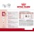 Royal Canin SHN Medium Adult Wet Food Pouches Box of 10x140g - Sensitive Stomach Care for Medium Breeds