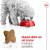 Royal Canin Mini Adult Dog Food - 8 kg - High Digestibility & Joint Support for Small Breeds