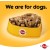 Pedigree Chicken Chunks in Gravy Wet Dog Food Can 400g – Healthy & Delicious