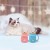 Angelice Home Blue Cat Mug with Lid & Spoon, Cute Ceramic Coffee Cup for Women