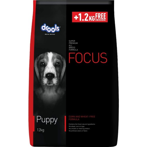 Drools Focus Adult Super Premium Dry Dog Food, Chicken Flavor, 12 Kg (+1 Kg Extra Free)