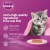 Whiskas Junior Tuna in Jelly Wet Kitten Food - 14x80g for 2-12 Months Kittens