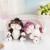 12CM Kawaii Lucifer Cat Plush Toy – Adorable Stuffed Animal for Kids' Room Décor & Gifts