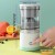 Portable USB Electric Citrus Juicer & Fruit Blender for Travel