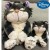 30cm Disney Lucifer Plush Toy – Cinderella's Cat Stuffed Animal for Kids' Birthday Gift