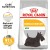 Royal Canin CCN Mini Dermacomfort 3 kg – Canine Care Nutrition Dog Food