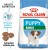 Royal Canin Shn Size Health Nutrition Mini Puppy Dry Dog Food, 2Kg