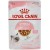 Royal Canin FHN Feline Health Nutrition Kitten Gravy - 12x85g Wet Cat Food Pouches