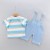 Summer Denim Overalls and T-Shirt Set for Baby Boys, Casual Cotton Toddler Outfit