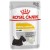 Royal Canin CCN Dermacomfort Wet Food Pouches 12x85g – Skin & Coat Care Dog Nutrition