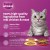 Whiskas Mixed Favorites Wet Cat Food Pack – 48x80g Pouches in Jelly & Gravy