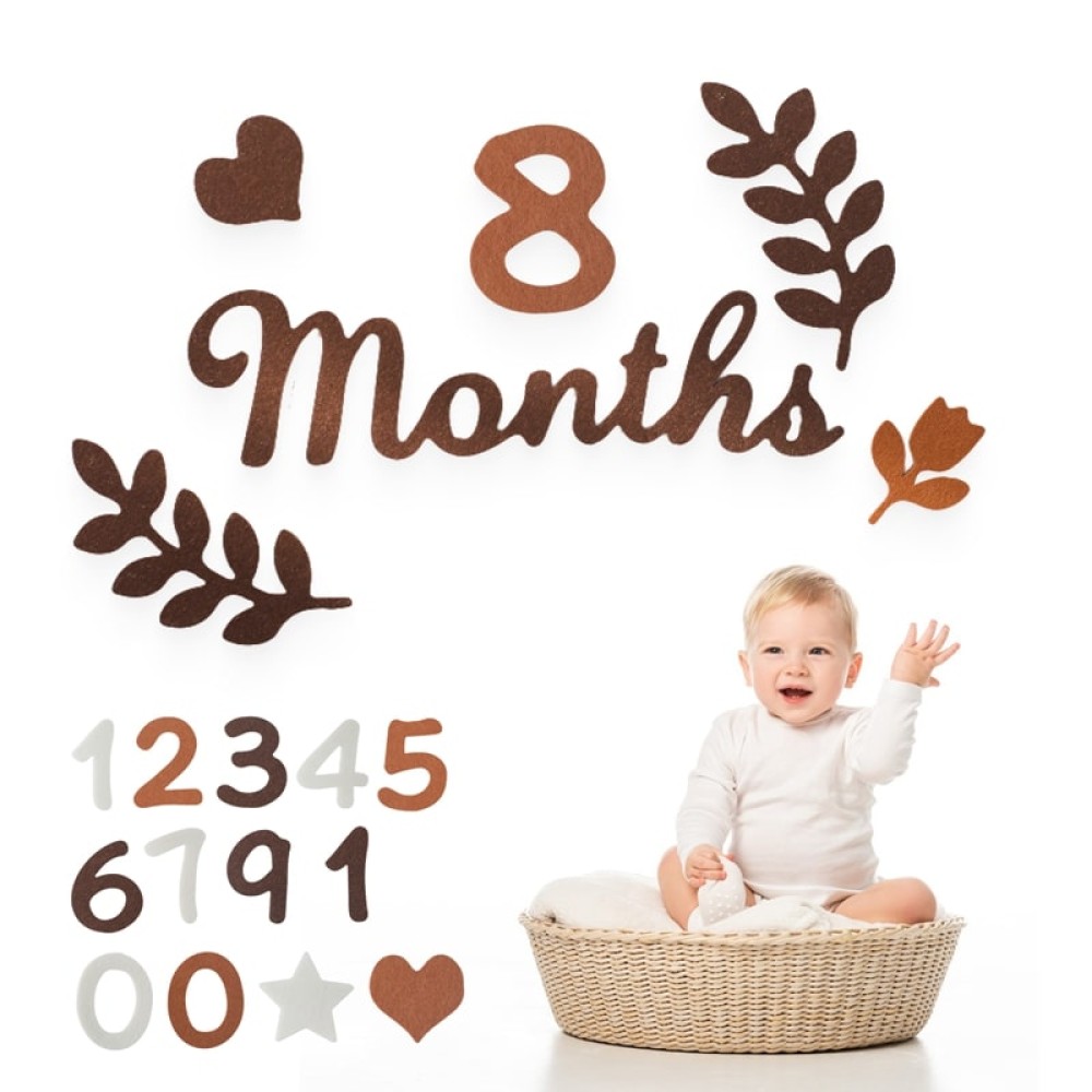 Felt Baby Month Milestone Cards - Newborn Photography Prop for Monthly Baby Memories