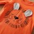 Newborn Baby Animal Print Cotton Set - Orange Lion Long Sleeve and Pants, 0-18 Months