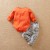 Newborn Baby Animal Print Cotton Set - Orange Lion Long Sleeve and Pants, 0-18 Months