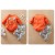 Newborn Baby Animal Print Cotton Set - Orange Lion Long Sleeve and Pants, 0-18 Months