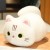 25CM Soft Cartoon Cat Plush Toy – Cute Animal Pillow for Kids' Birthday Giftv