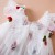 Girls' Cherry Embroidery Mesh Princess Dress - 1-5Yrs