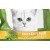 Kit Cat Breath Bites Chicken Flavor – Crunchy Dental Care Treats for Cats, 60g