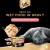 Sheba Tuna & Salmon in Gravy Cat Food – 5+1 Pack, 6 Cans of 85g Each