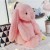 Cute Plush Toy Rabbit – Long Ear Stuffed Rabbit Doll for Babies & Kids 30/40cm