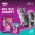 Whiskas Junior Tuna in Jelly Wet Kitten Food, 12x80g Pack, Complete Nutrition for Kittens